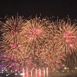 岁岁年年