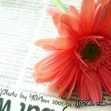 miss you so