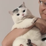 1Leekiy