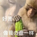 破名字巴士