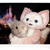 祝噪音狗全断脚