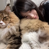 玻璃碎片