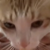 泡沫垃圾箱