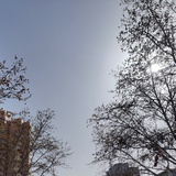 时间都去哪了
