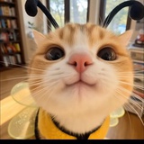 mono