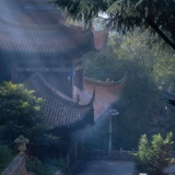 箱纸
