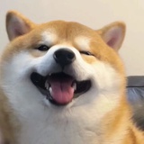 关于自己