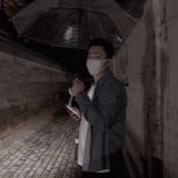 云端寻蝶