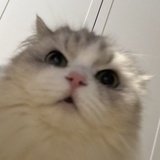 长安
