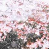 中