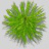 Jumpy