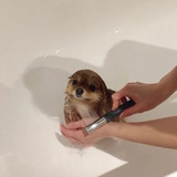 分你一块苹果吧