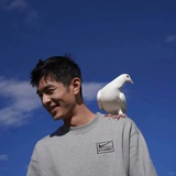 阿芳西娜与海
