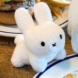 豆友5446808861
