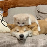 ⌓⌓