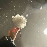 晚上出去看月光