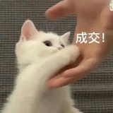 开赛露烂裤裆
