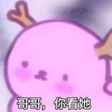 姨母雙生