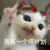 小猫拯救世界