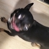uu