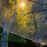 雨天迹象