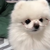 果子海