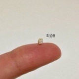 鸭舌帽在衣架上