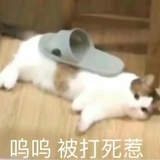 咕噜咕噜f