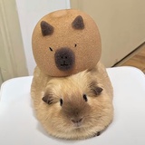 噢耶