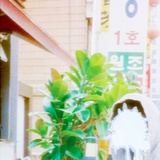 酒吐座的春回聲