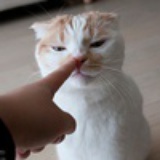 阿卡