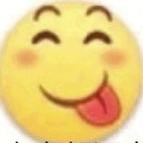 桃花与玉兰交叠