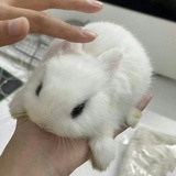 三缺一