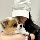风吹啊吹