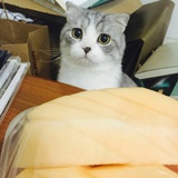 charlie