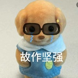 豆友sTCPt0poro