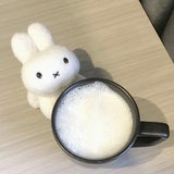 镜嬷花