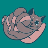 鸡蛋汉堡浣熊猫