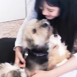 Momo_