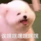 哼哼
