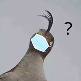 郭德纲砸光
