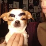 猪柳蛋