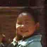 山雀儿