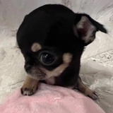 小孩