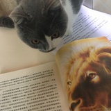 苏格拉力