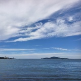 洋洋の海