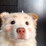 歪歪歪