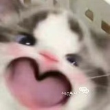 春暖花开