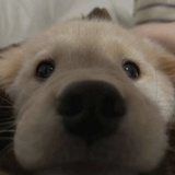 记录