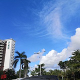 小噹噹